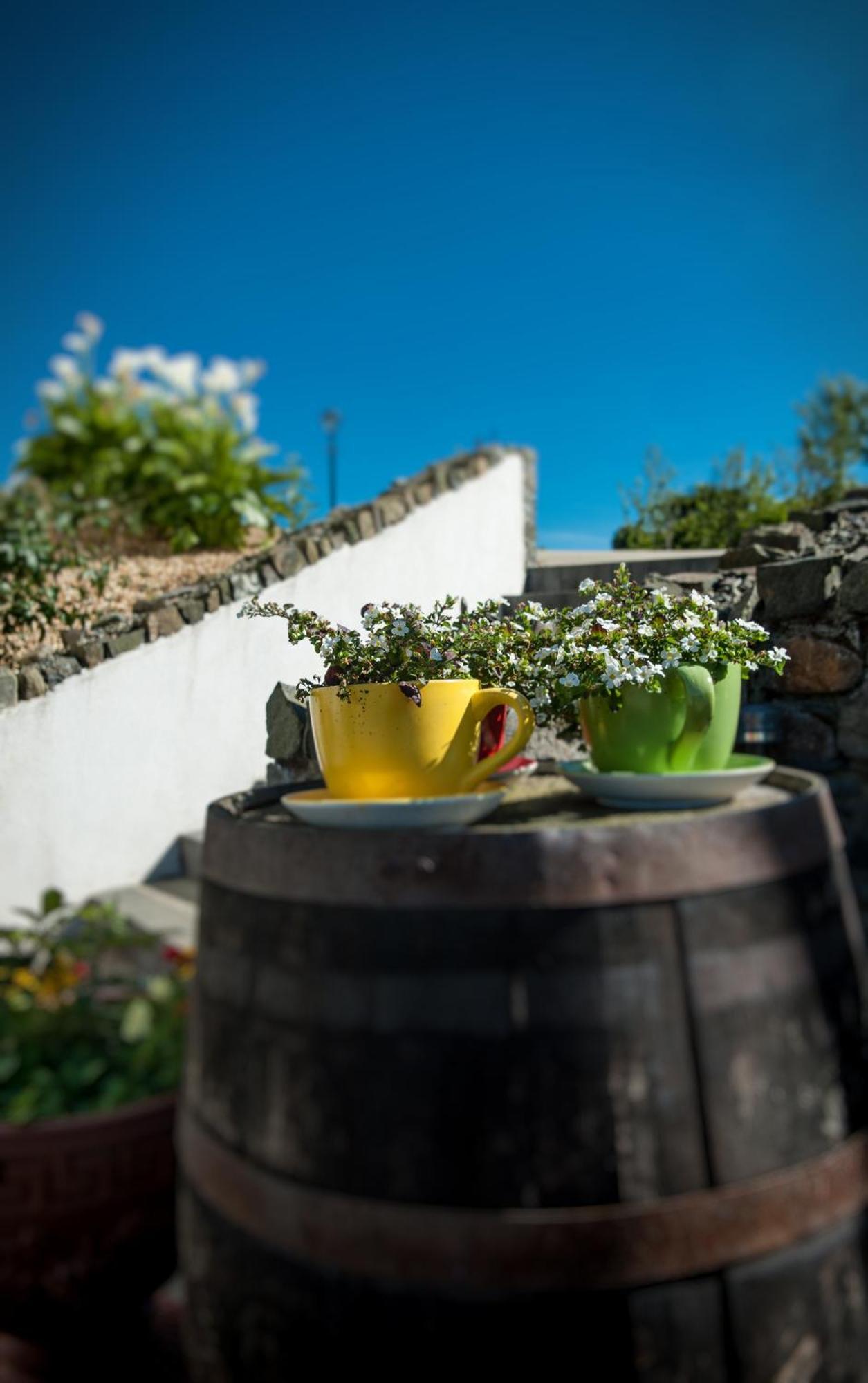 Grove House Bed & Breakfast Carlingford Eksteriør bilde