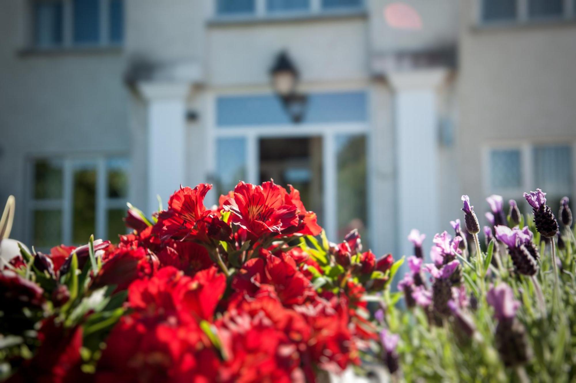 Grove House Bed & Breakfast Carlingford Eksteriør bilde