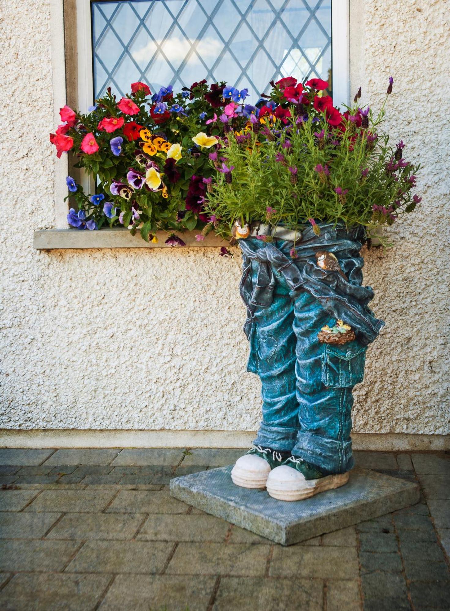 Grove House Bed & Breakfast Carlingford Eksteriør bilde