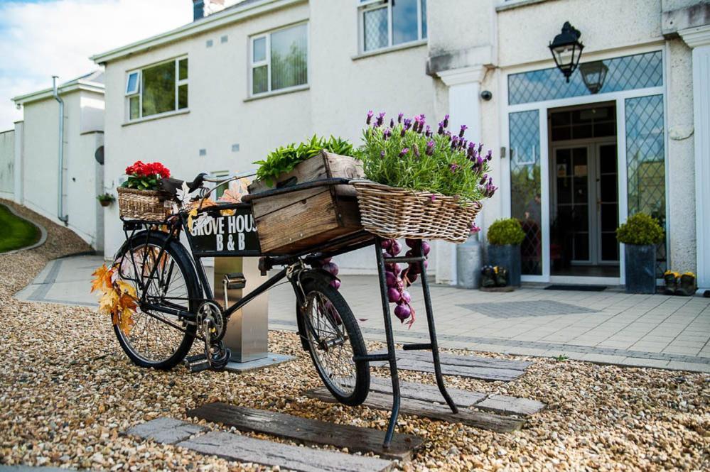 Grove House Bed & Breakfast Carlingford Eksteriør bilde